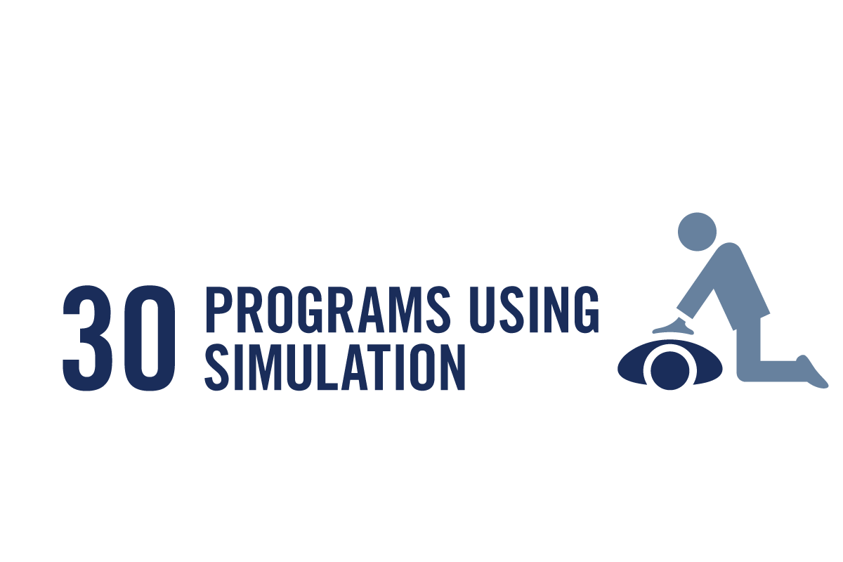Simulation Programs